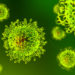 Virus, Coronavirus CoVID19