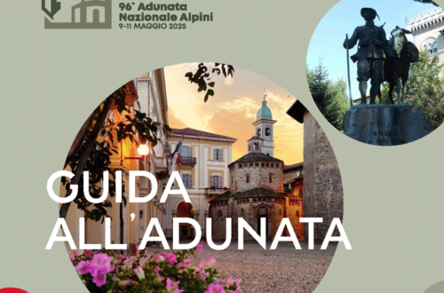 Pagina adunata biella guida testata