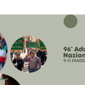 Testa immagine biella