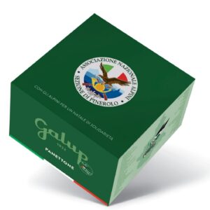 panettone sezione pinerolo 2025