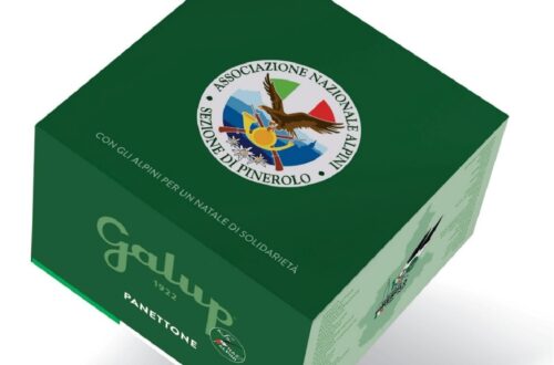 panettone sezione pinerolo 2025