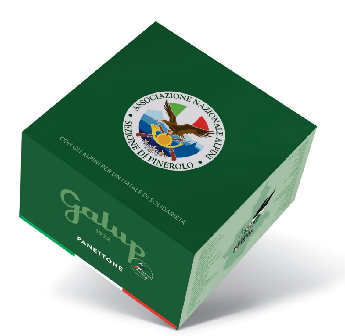 panettone sezione pinerolo 2025